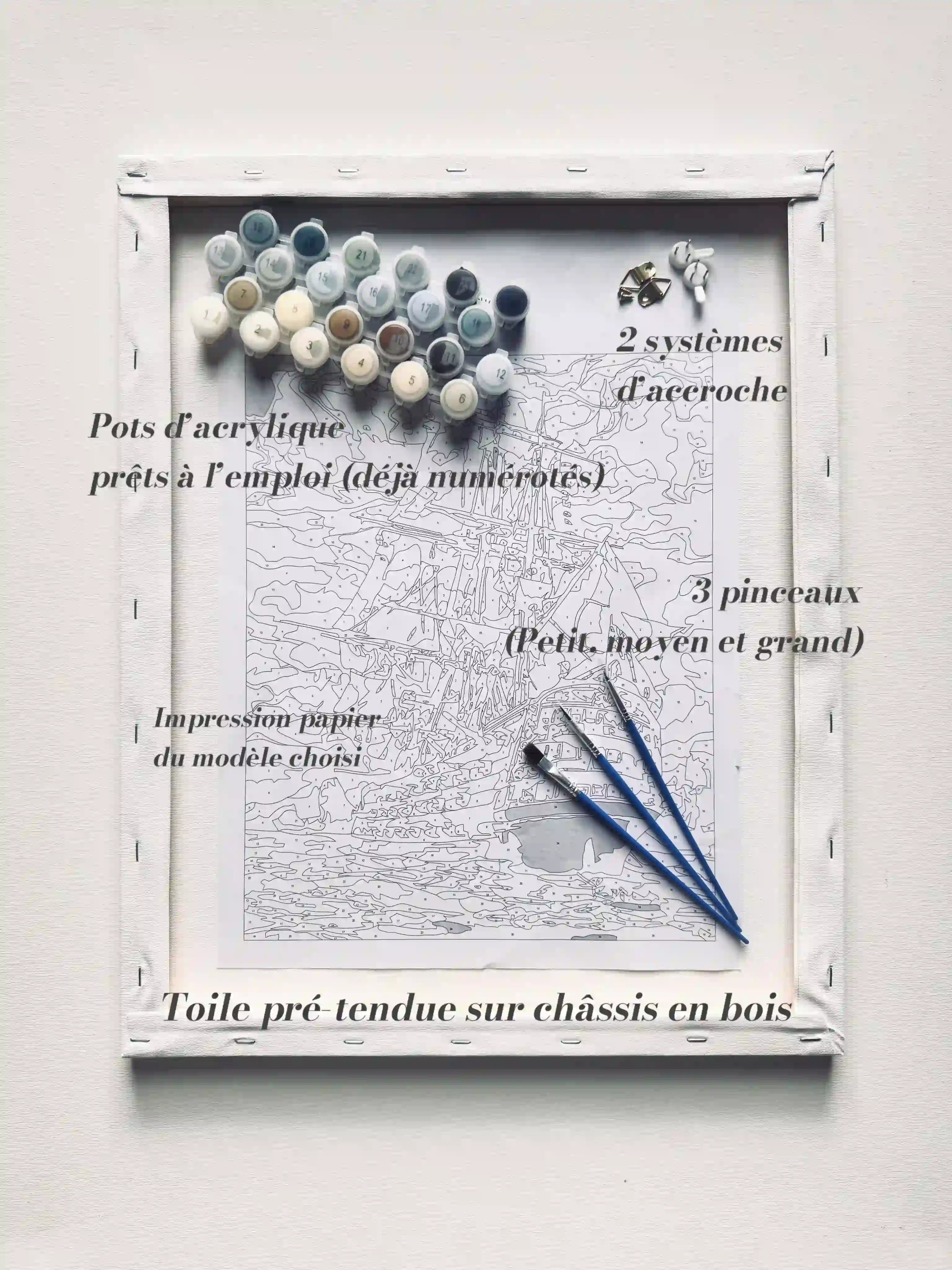 peinture par numero contenu kit portrait pinceaux pots acrylique accroche toile tendue
