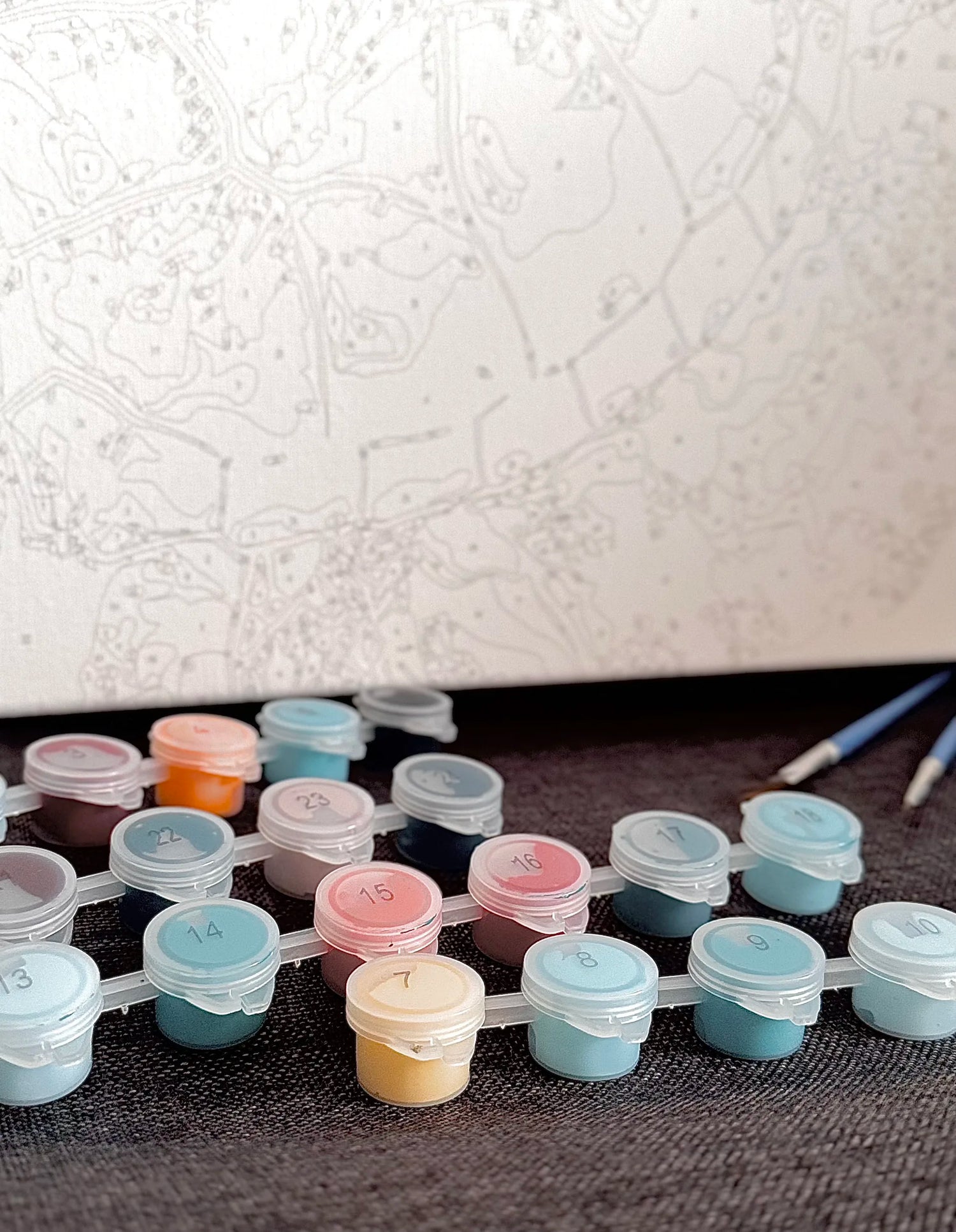 Peinture par numéro godet couleur pinceaux