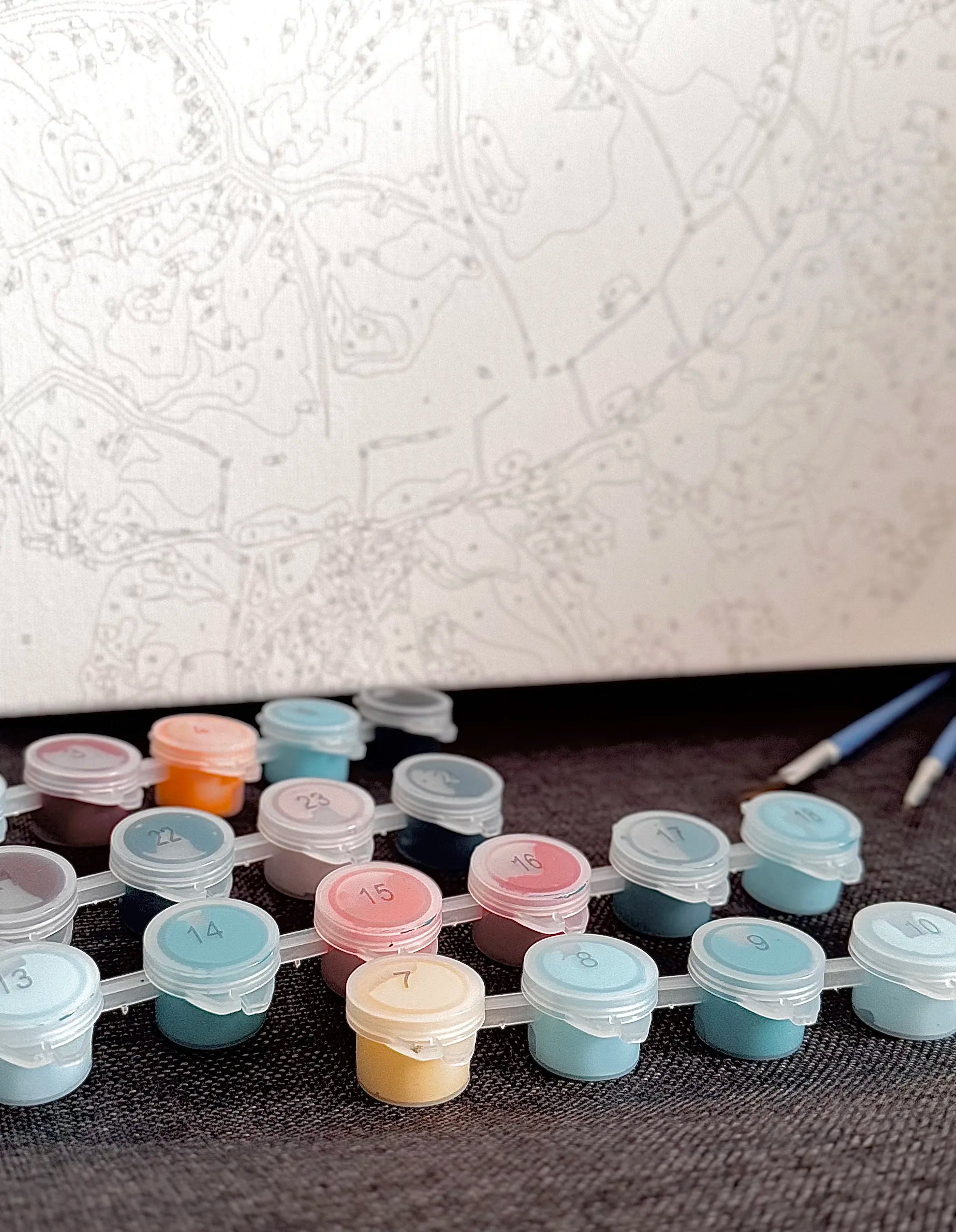 Peinture par numéro godet couleur pinceaux