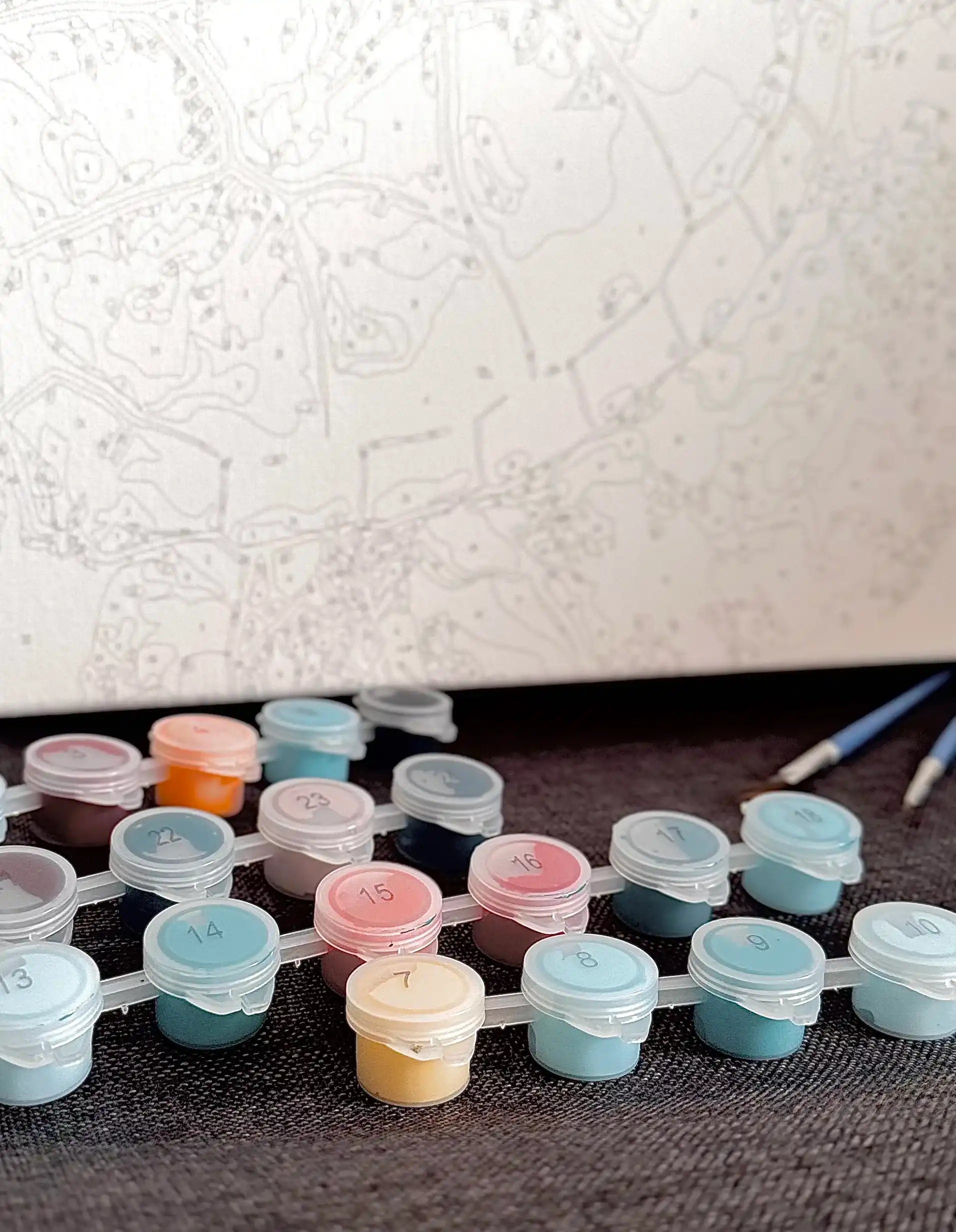 Peinture par numéro godet couleur pinceaux