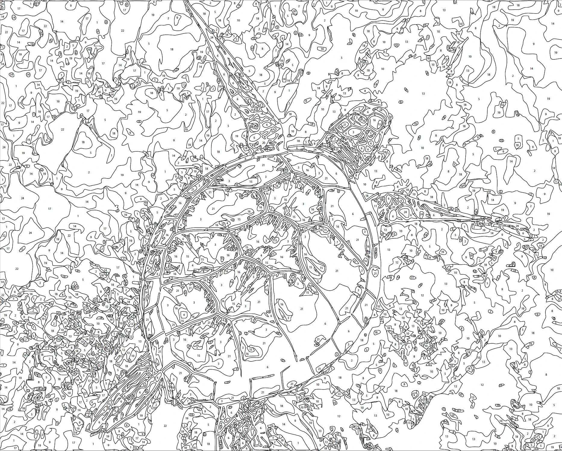 peinture par numero tortue vierge toile