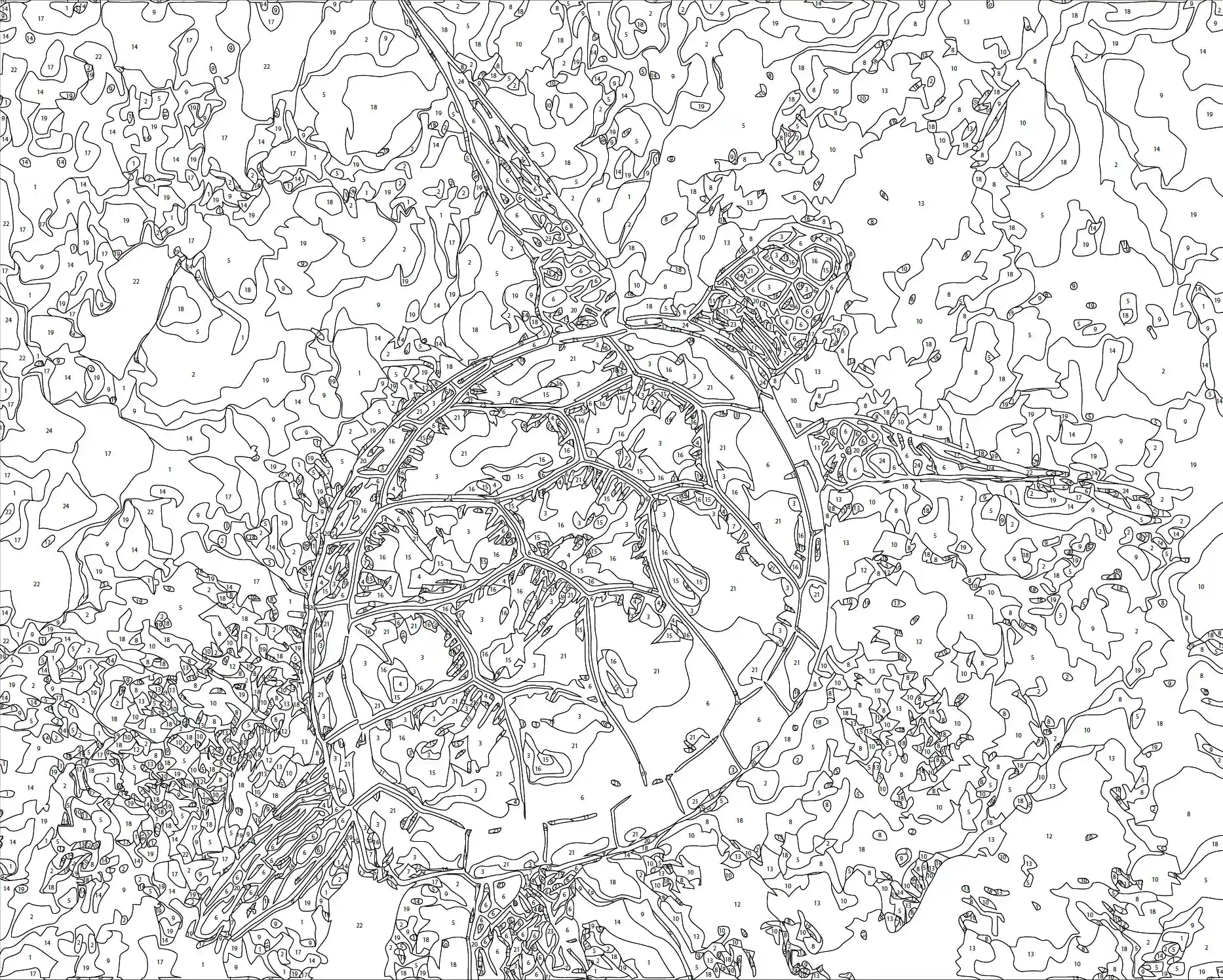 peinture par numero tortue vierge toile