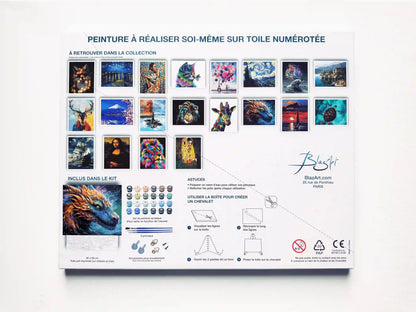 arriere packaging dragon legendaire