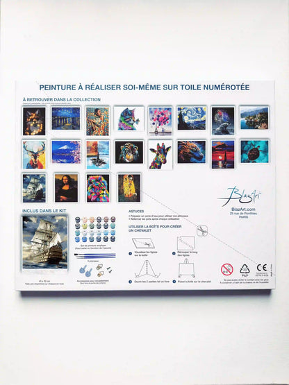arriere packaging grand voilier