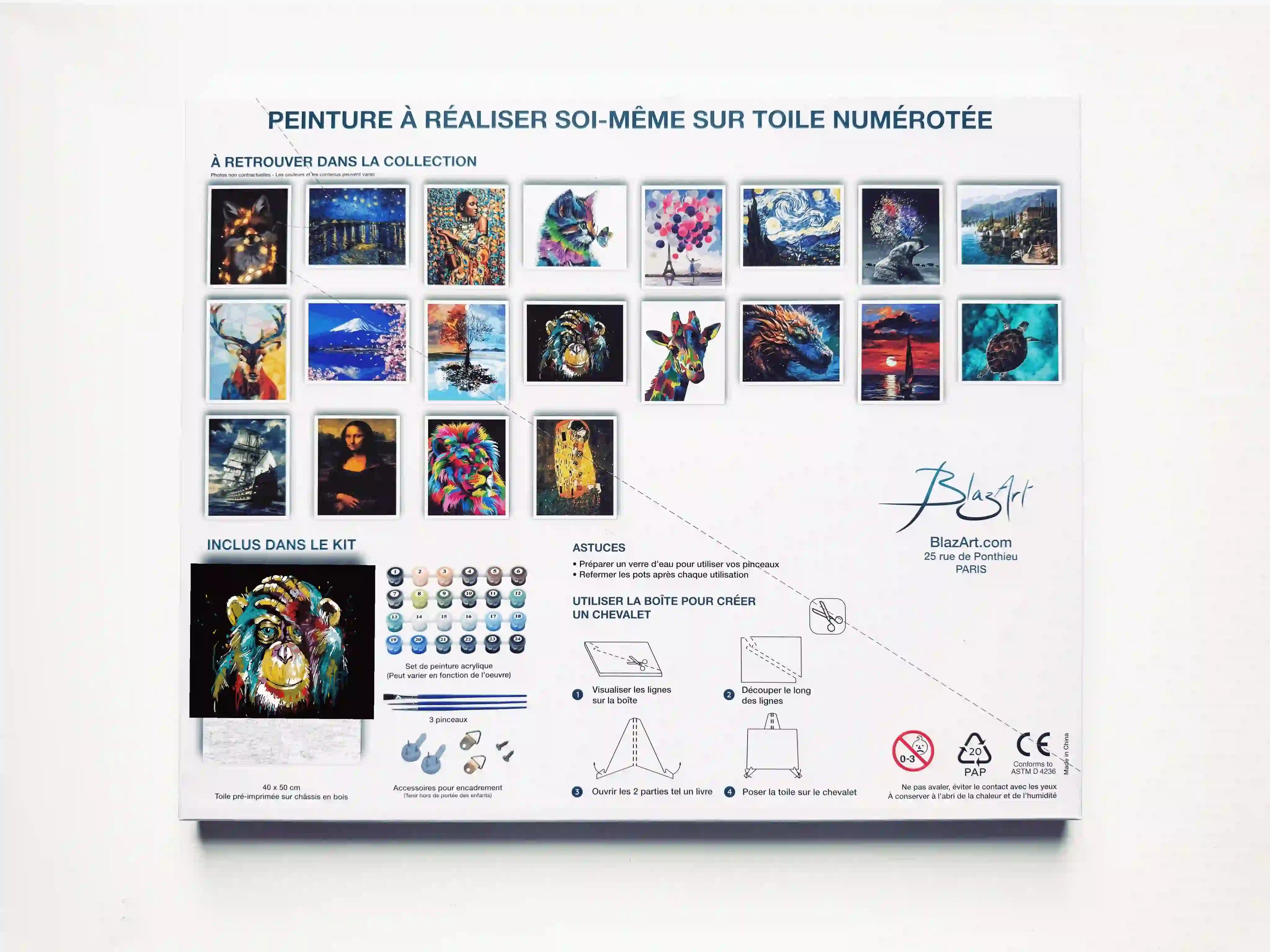 arriere packaging singe penseur