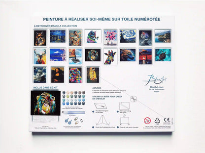 arriere packaging singe penseur