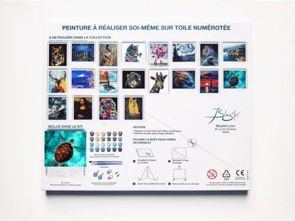arriere packaging tortue de mer