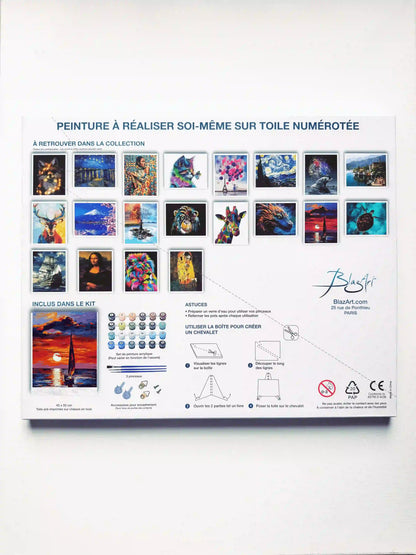 arriere packaging voilier coucher soleil