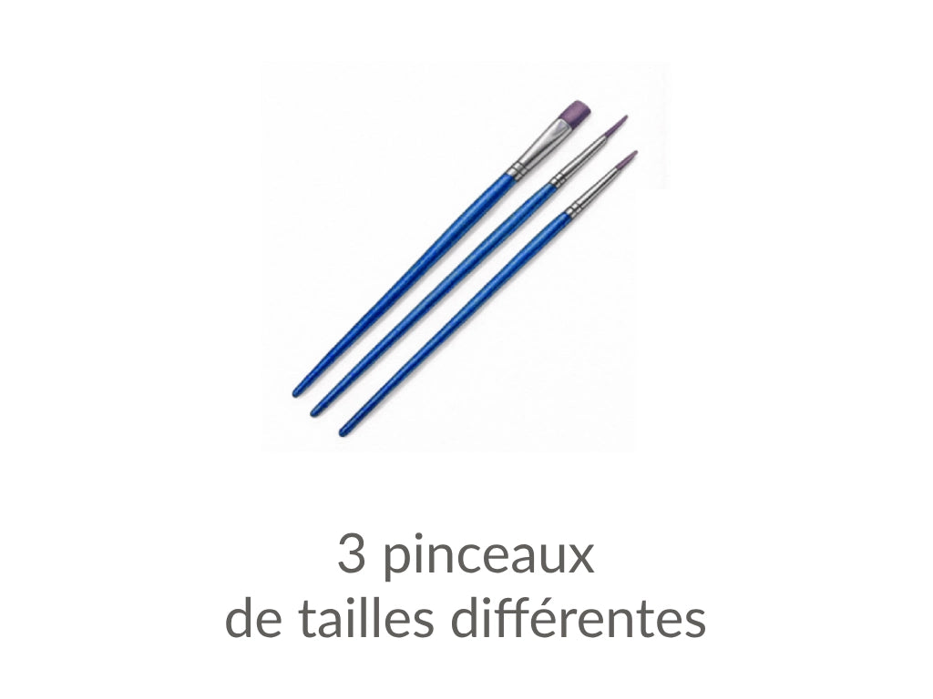 contenu peinture par numéro 3 pinceaux