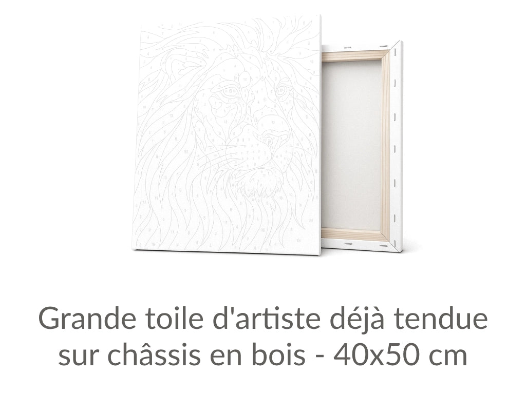 contenu peinture par numéro toile tendue sur châssis bois