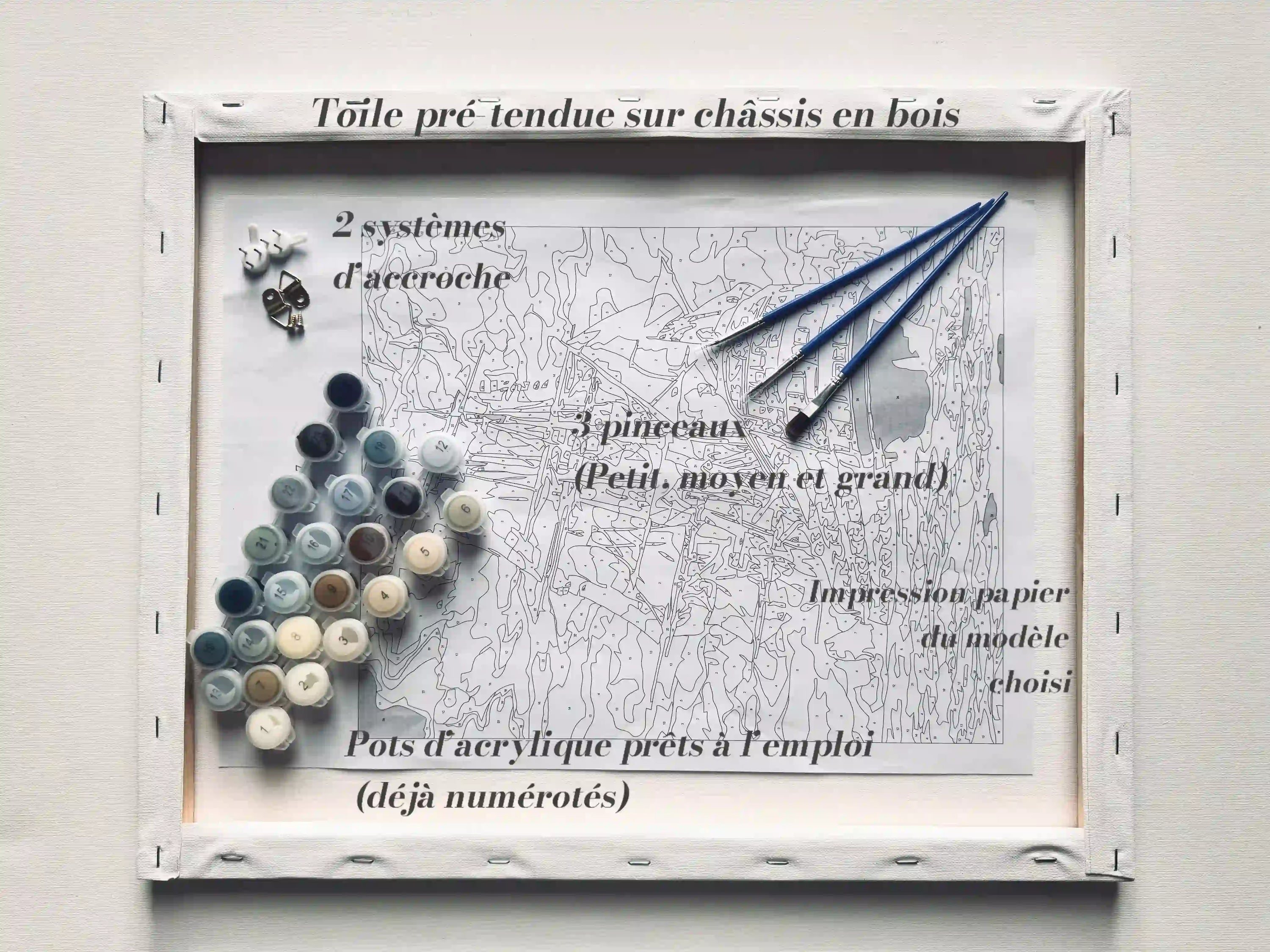 peinture par numero contenu kit paysage pinceaux pots acrylique accroche toile tendue
