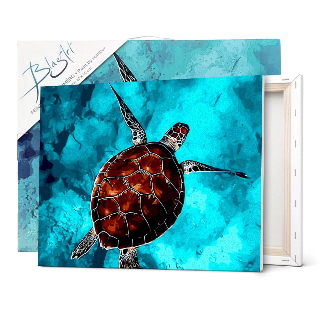 Peinture par numéro Tortue de mer