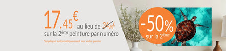 - 50 % sur la 2ème peinture par numéro