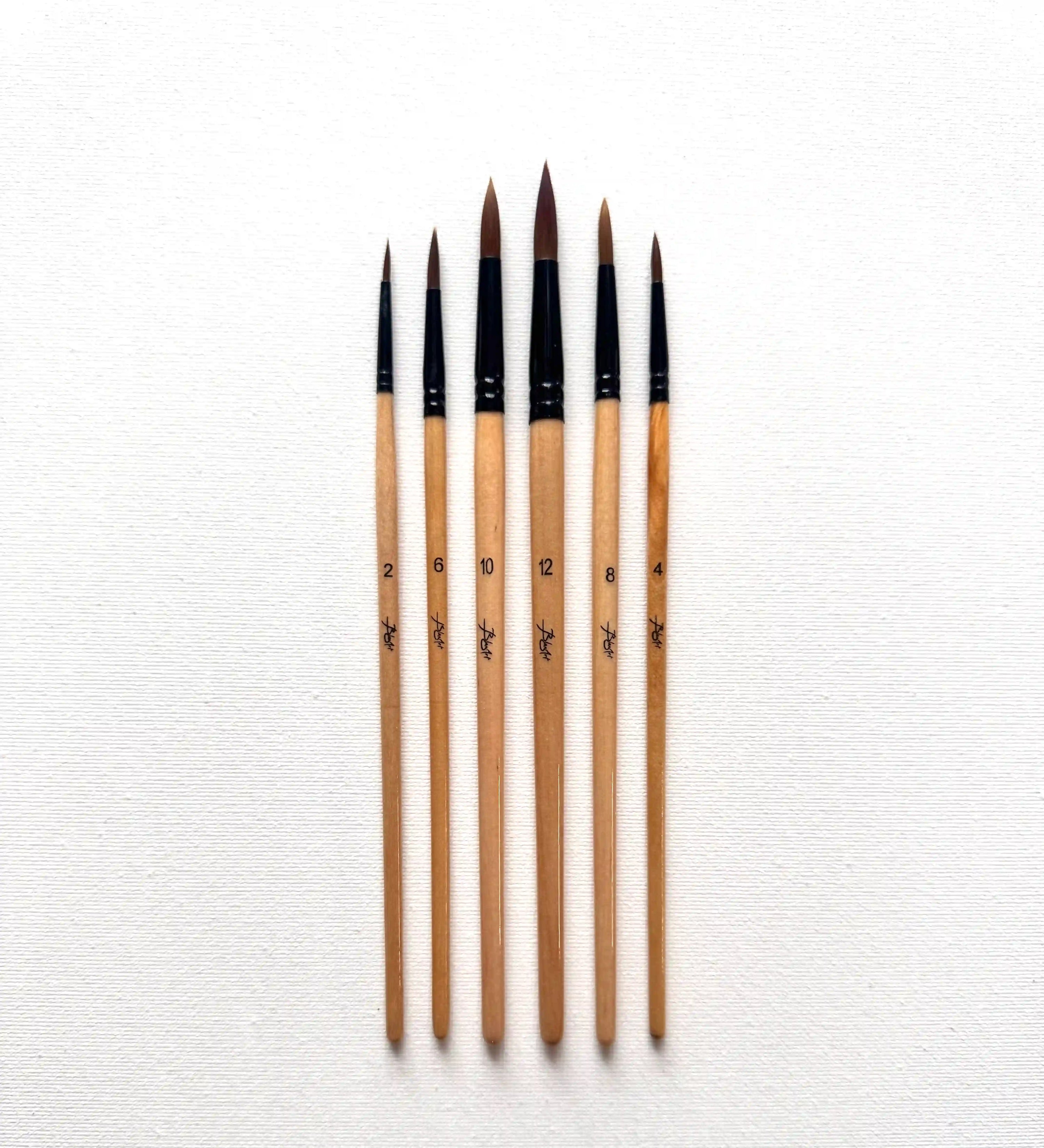Set de 6 pinceaux ronds face
