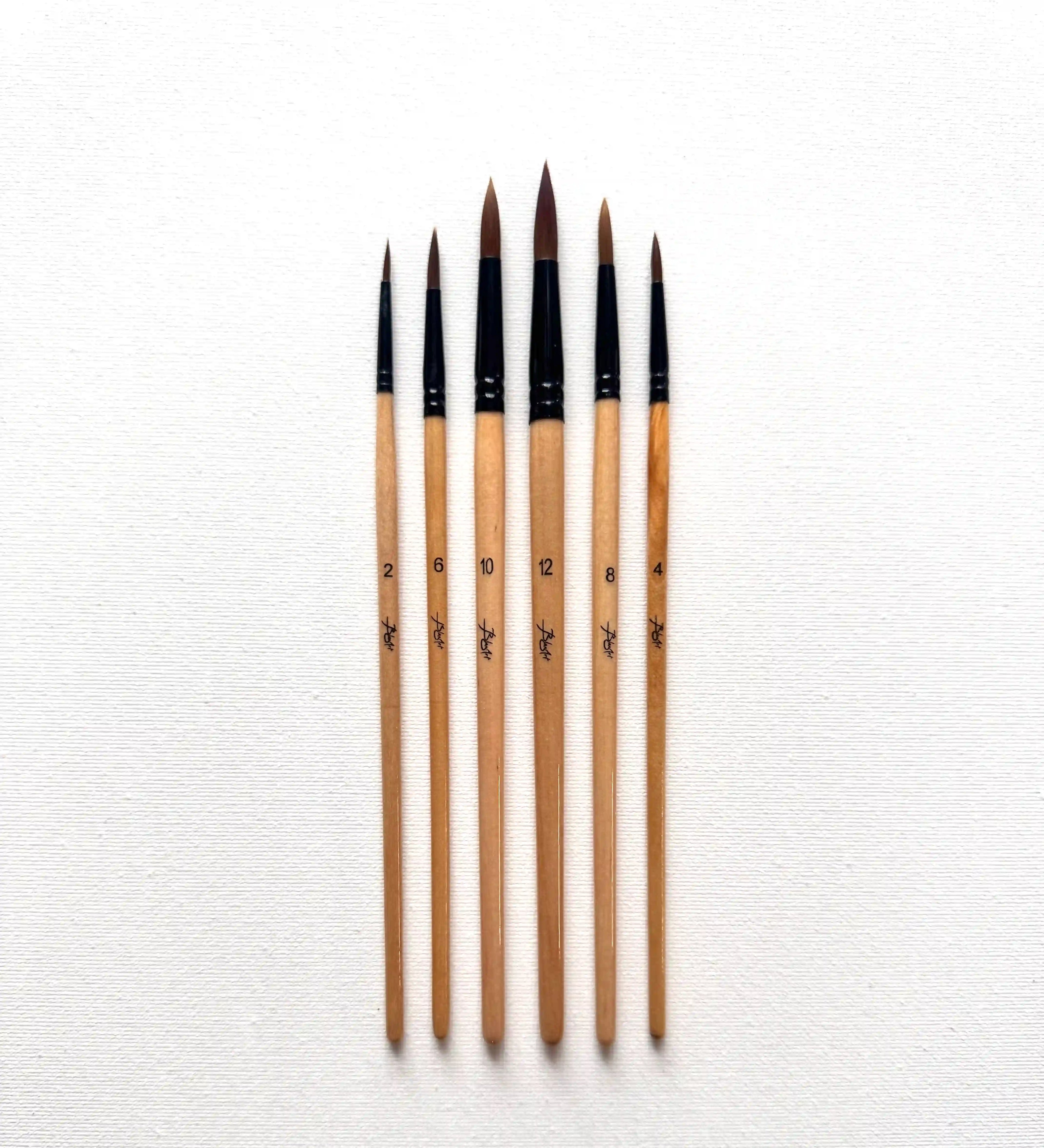 Set de 6 pinceaux ronds face