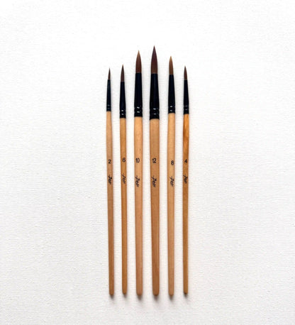Set de 6 pinceaux ronds face